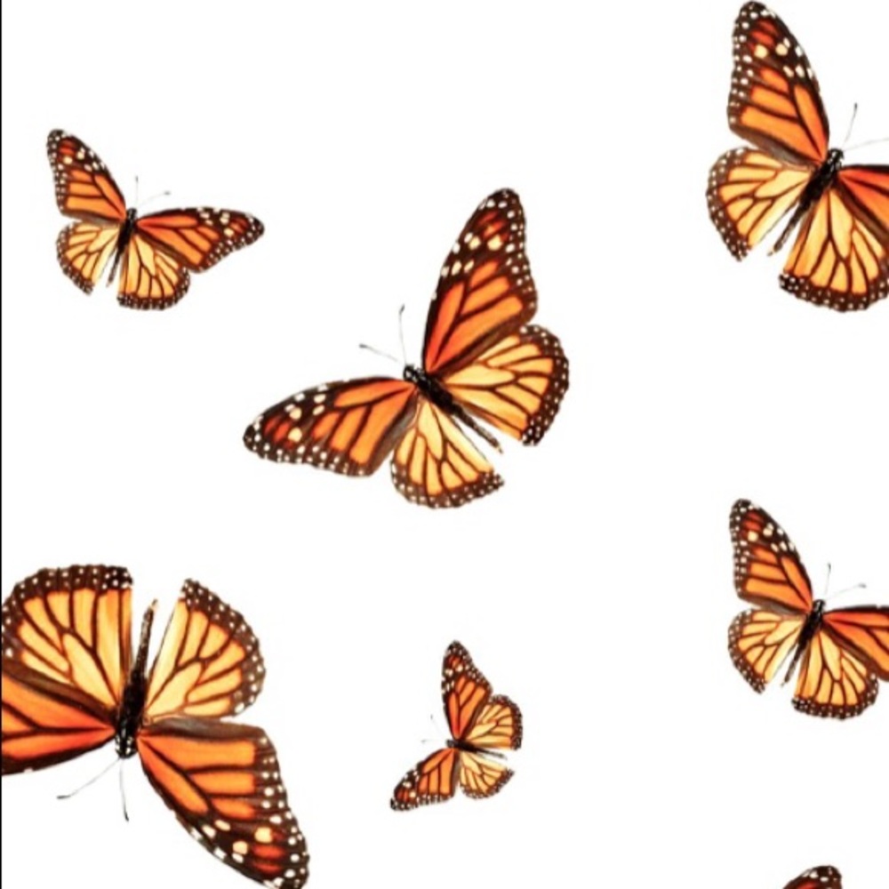 🦋🌙 The Monarch Moon - Picture 2 of 3